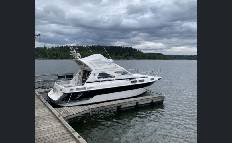Sealine 310 Statesman-kuva-8